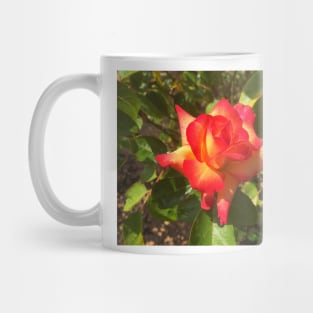 Exposition Park Rose Garden Study 2 Mug